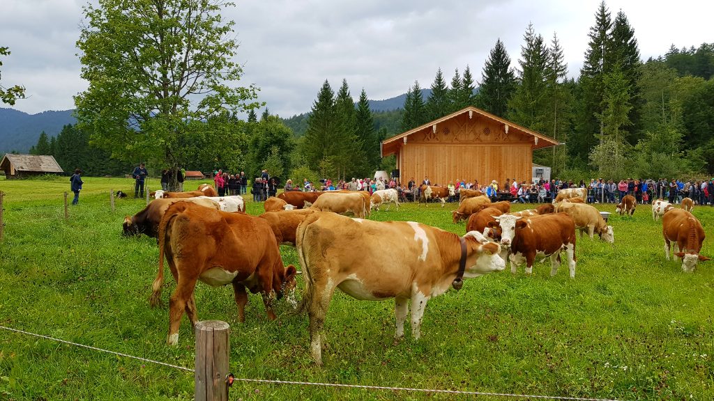 Veranstaltungen & Brauchtum